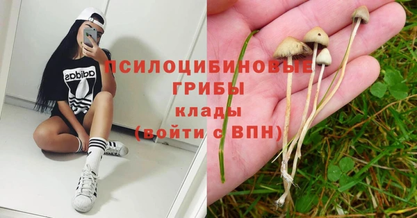 apvp Абаза